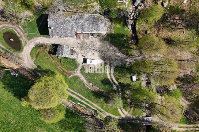 Fixer-upper for sale in Traversella