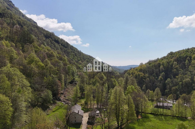 Fixer-upper for sale in Traversella