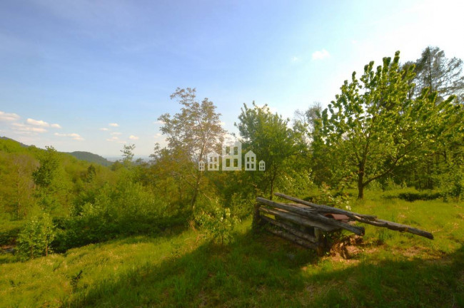Rustico in vendita a Borgiallo