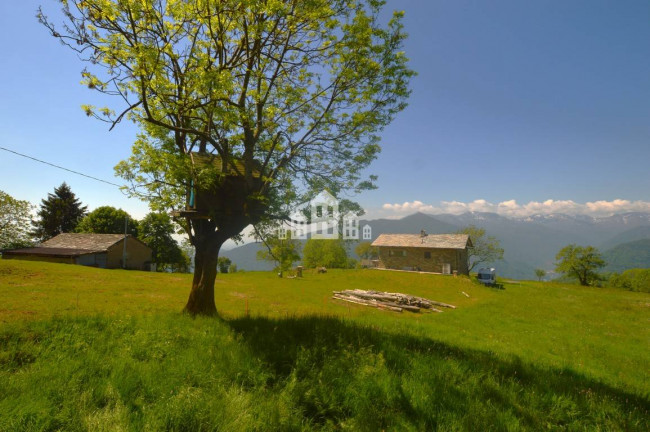 Fixer-upper for sale in Frassinetto