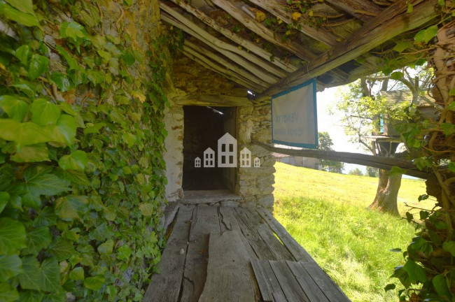 Fixer-upper for sale in Frassinetto