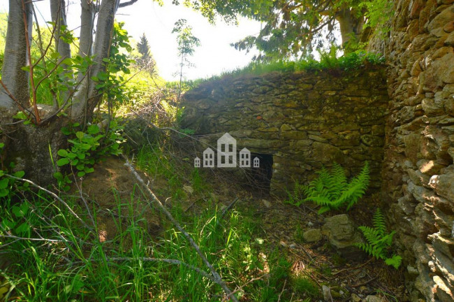 Fixer-upper for sale in Frassinetto