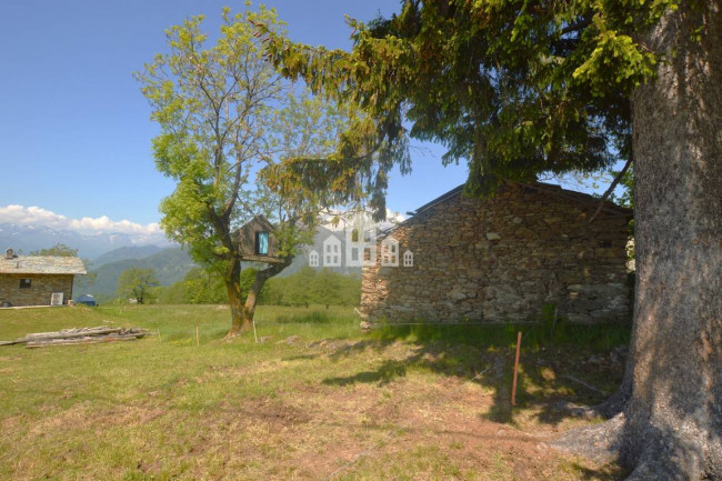 Fixer-upper for sale in Frassinetto