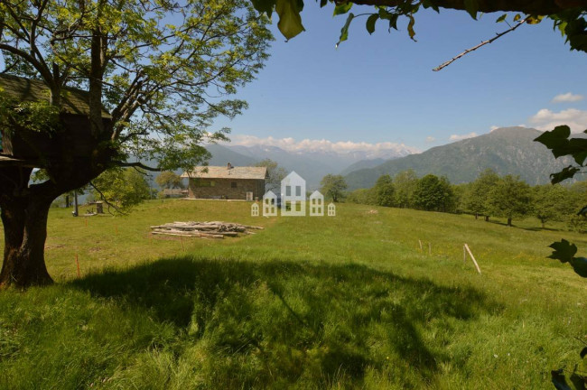 Fixer-upper for sale in Frassinetto
