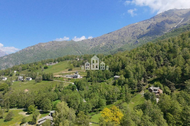 Fixer-upper for sale in Frassinetto