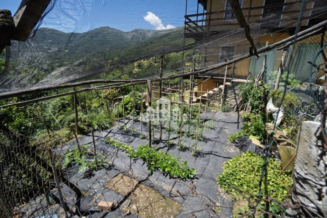 Half-duplex for sale in Pratiglione