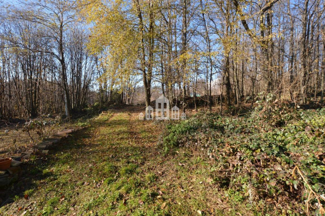 Casa indipendente in vendita a Vistrorio