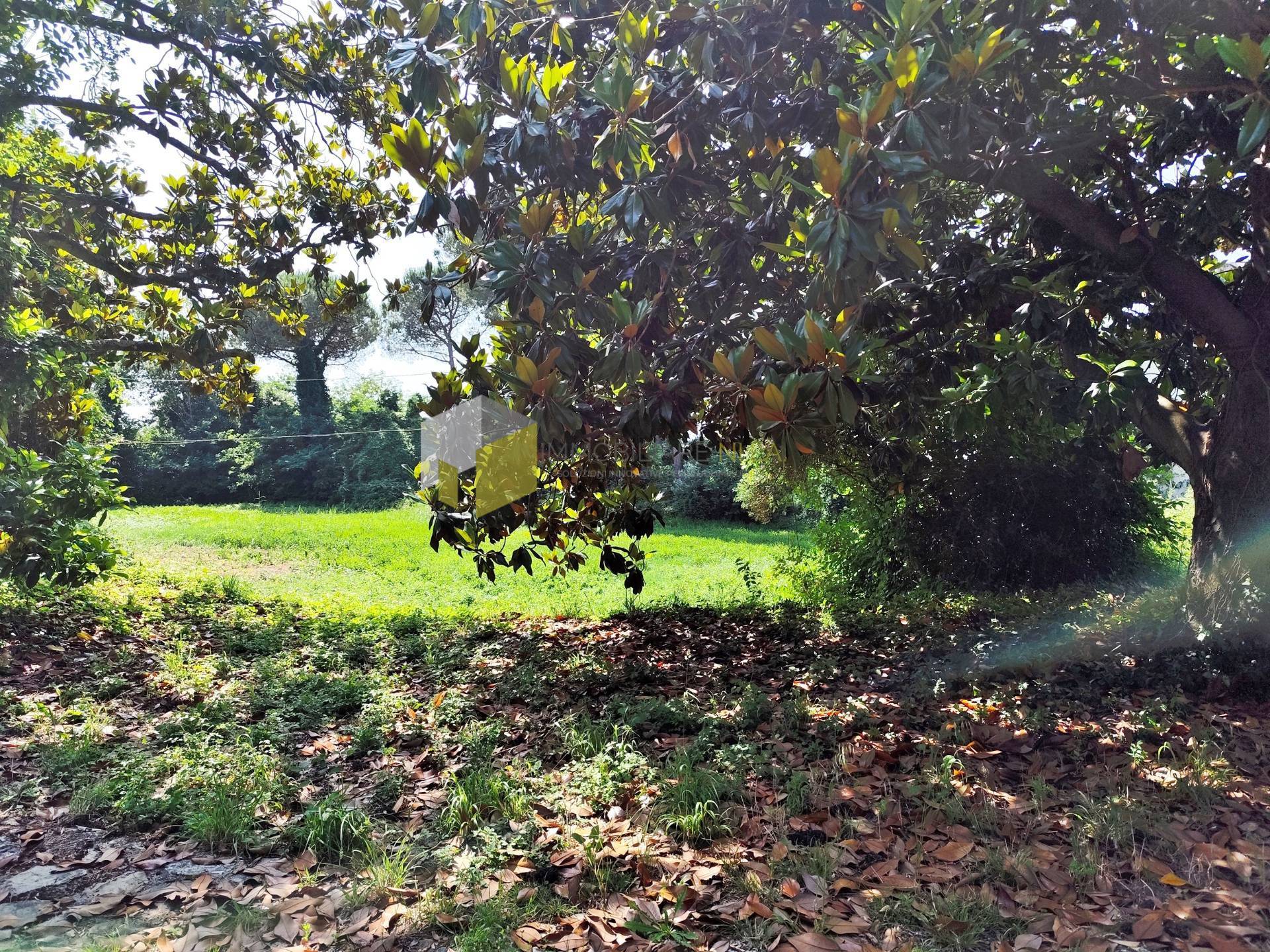 Villa - Pisa (26/34)