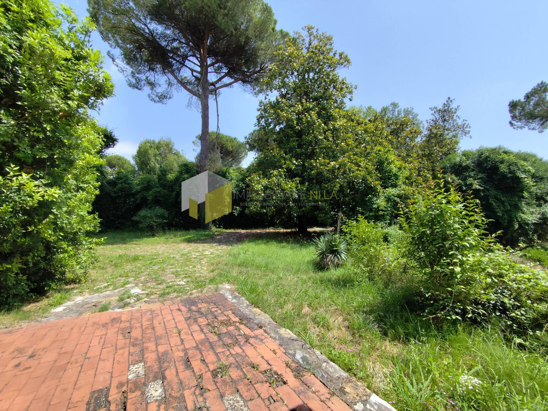 Villa - Pisa (34/34)