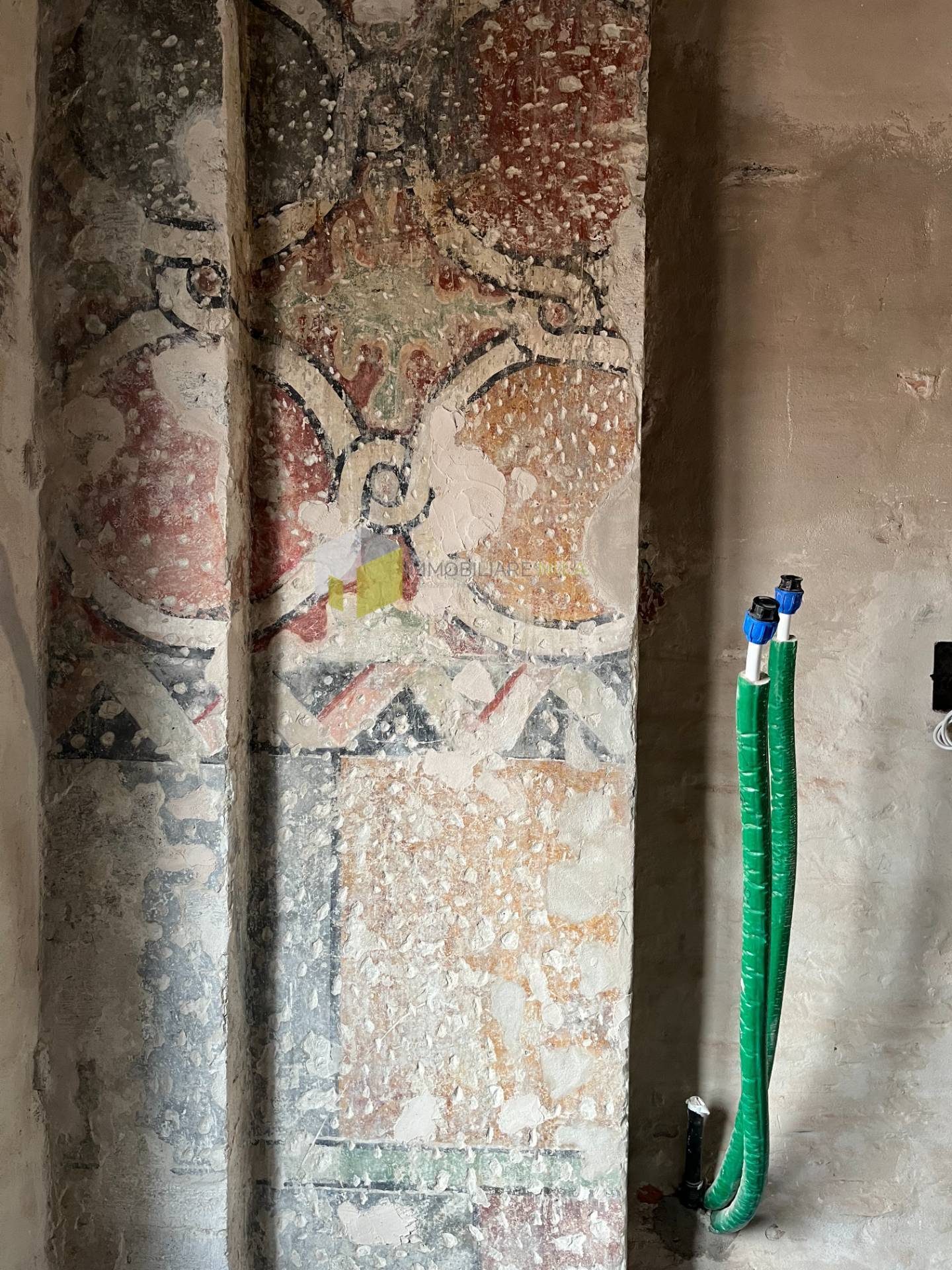 Appartamento - Pisa (21/22)