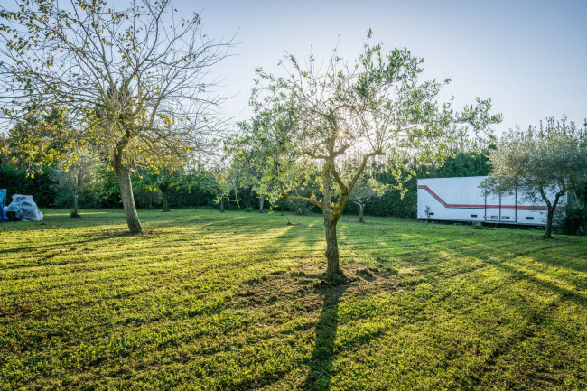 Villa in vendita a San Giuliano Terme (PI)