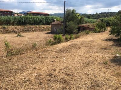 Terreno Agricolo in Vendita a Livorno