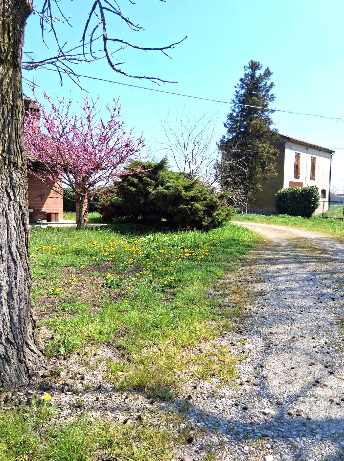Casa indipendente in vendita a Ferrara (FE)