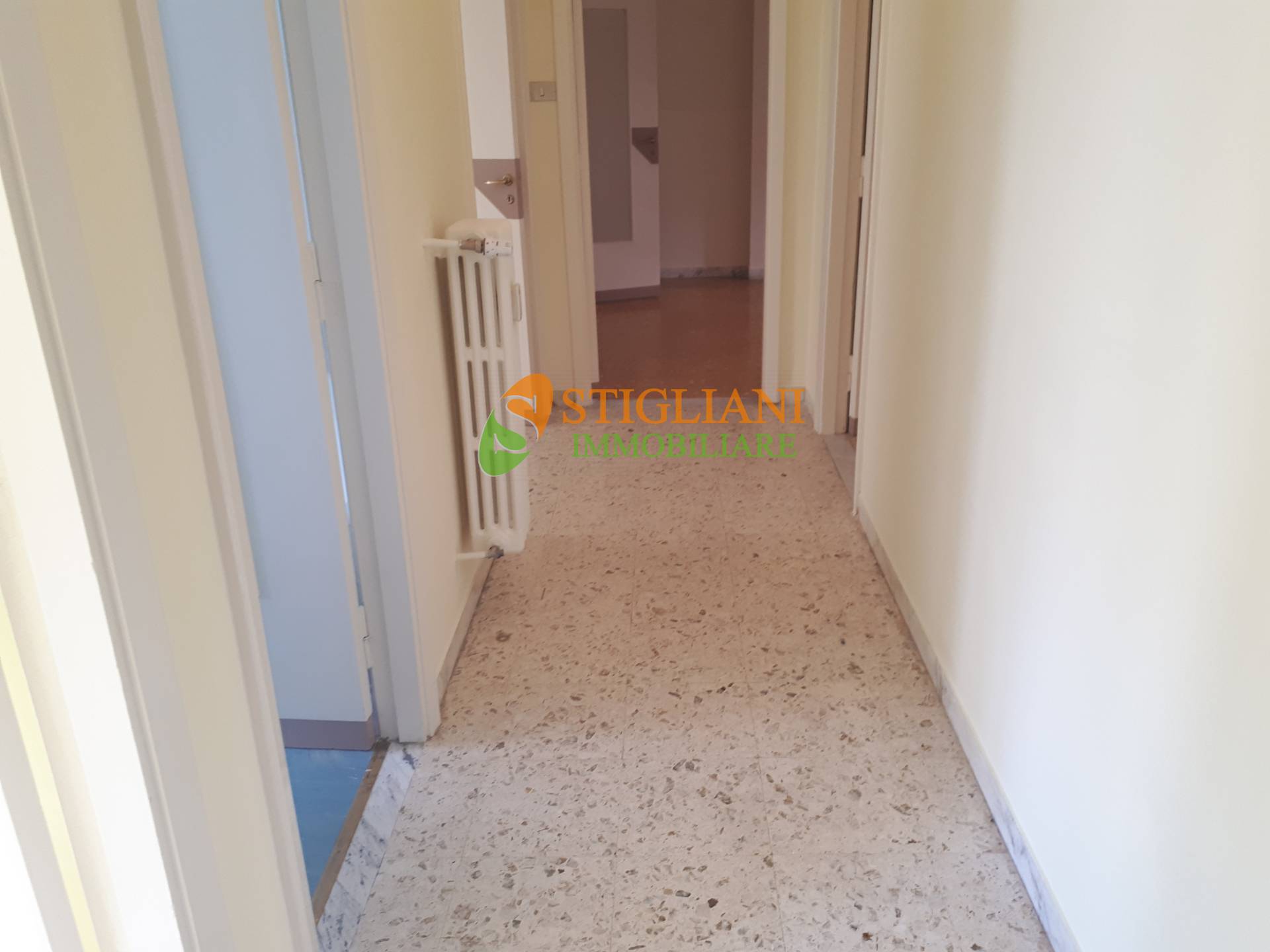 Appartamento CAMPOBASSO affitto  Centro  Stigliani Immobiliare srl