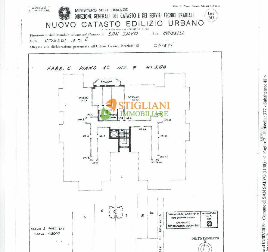 Appartamento SAN SALVO vendita  San Salvo Marina  Stigliani Immobiliare srl