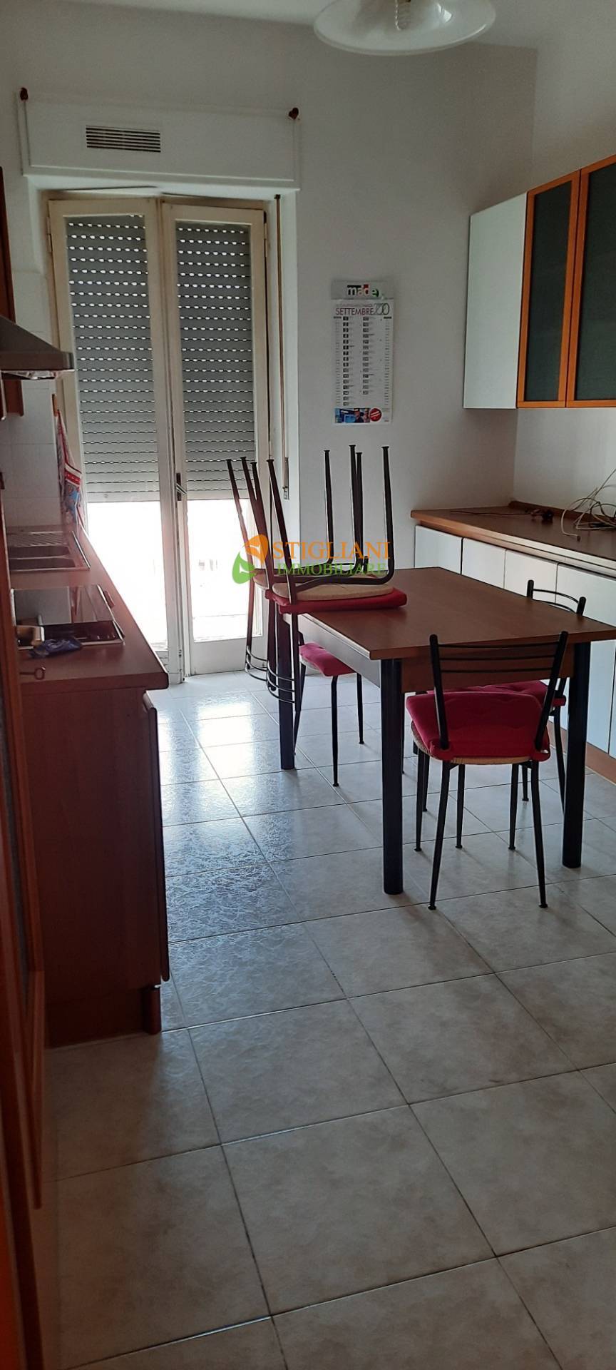 Appartamento CAMPOBASSO affitto  Centro  Stigliani Immobiliare srl