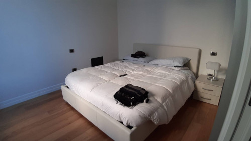 Appartamento in affitto a Campobasso