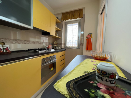 Appartamento in affitto a Campobasso
