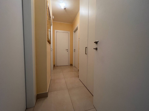 Appartamento in affitto a Campobasso