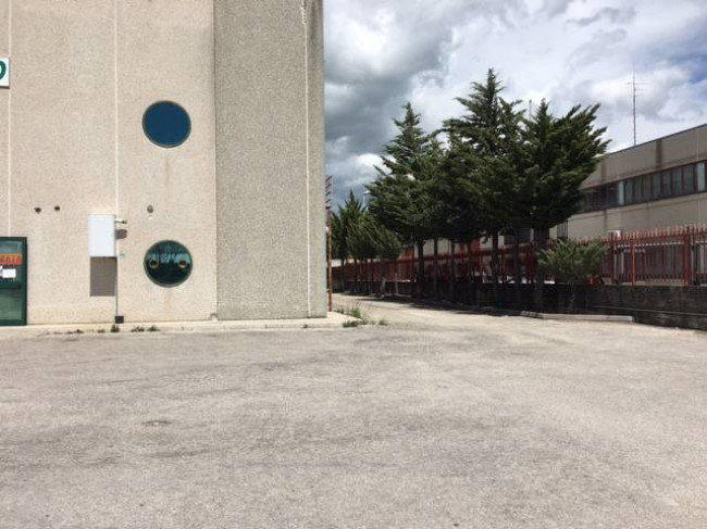 Locale in affitto a Campobasso