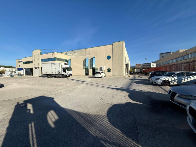 Locale in affitto a Campobasso