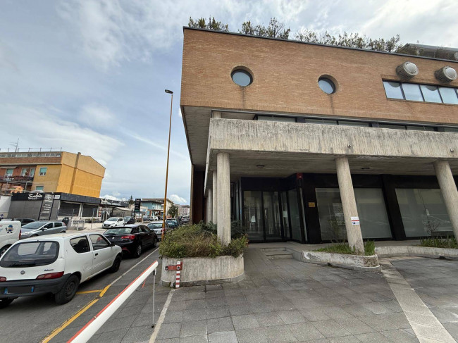 Locale commerciale in affitto a Campobasso
