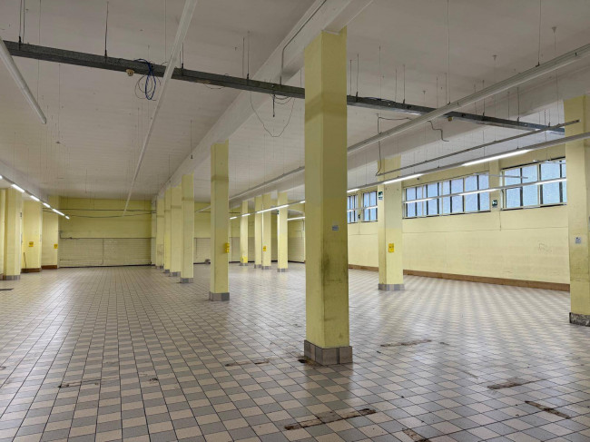 Locale commerciale in affitto a Campobasso