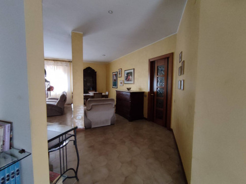 Appartamento in affitto a Campobasso