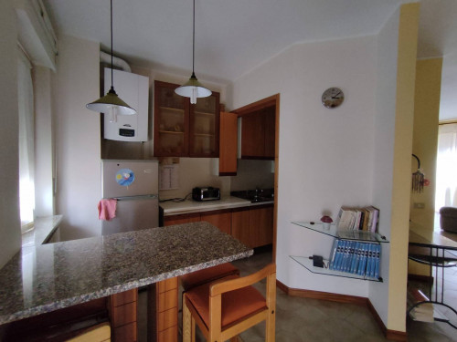 Appartamento in affitto a Campobasso