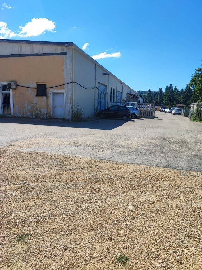 Locale commerciale in affitto a Alatri