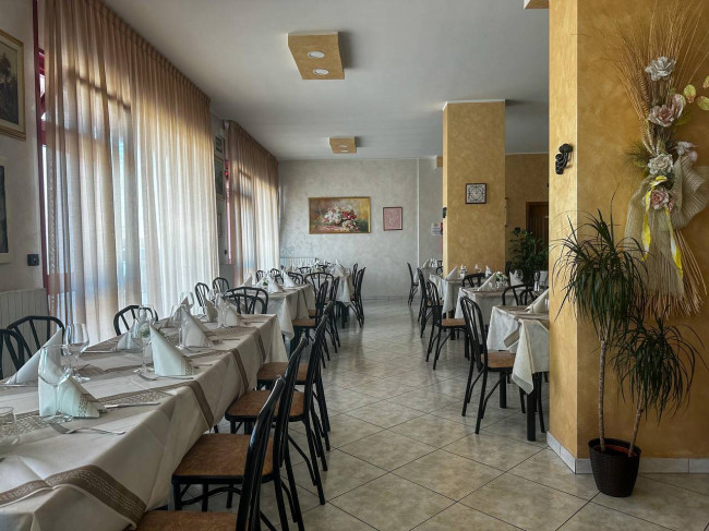 Attivita commerciale in vendita a Campobasso