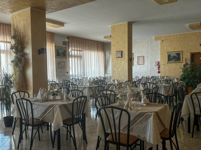 Attivita commerciale in vendita a Campobasso