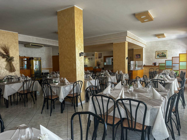 Attivita commerciale in vendita a Campobasso