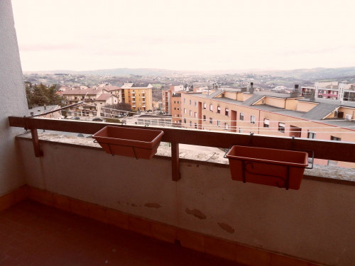 Appartamento in affitto a Campobasso