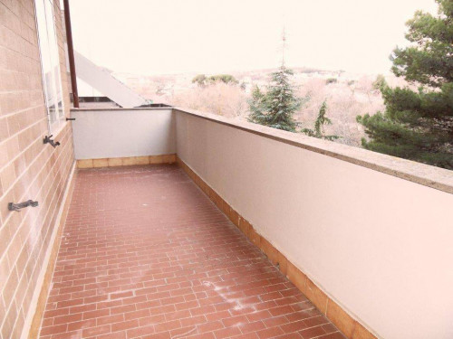 Appartamento in affitto a Campobasso