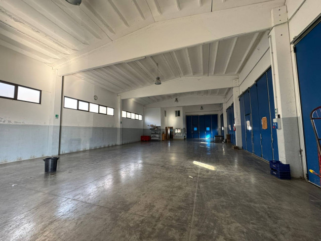 Locale commerciale in affitto a Campobasso