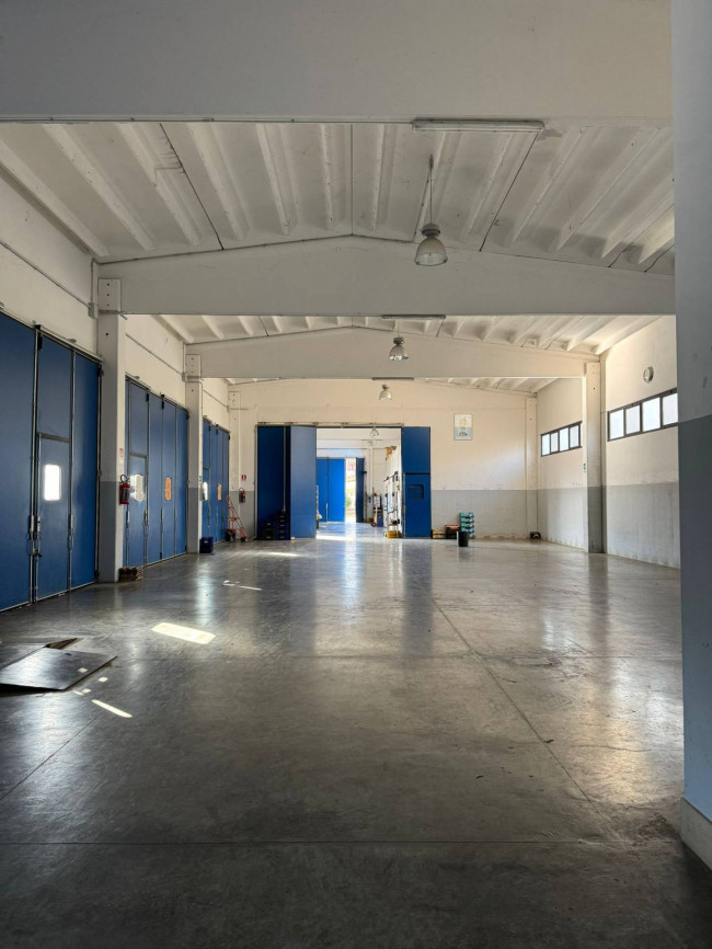 Locale commerciale in affitto a Campobasso