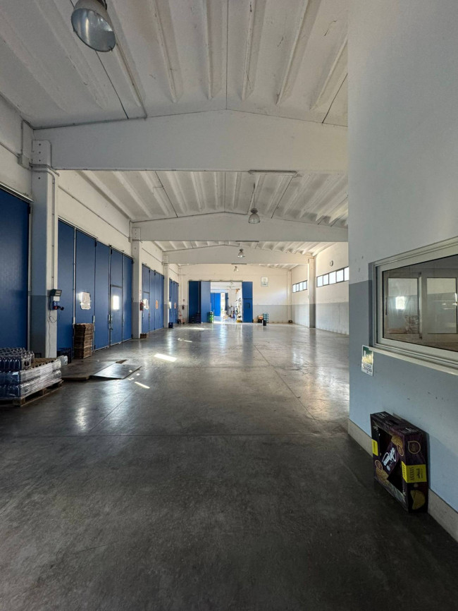 Locale commerciale in affitto a Campobasso