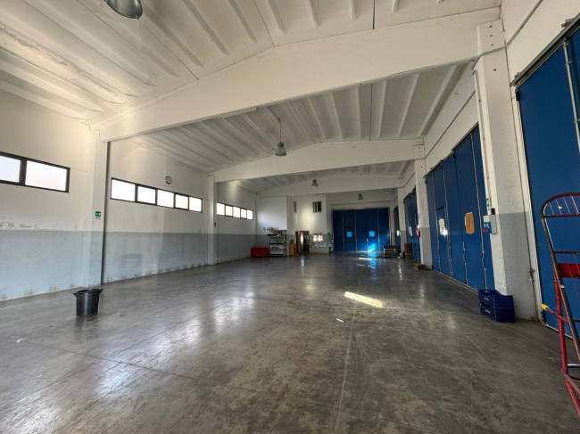 Locale commerciale in affitto a Campobasso