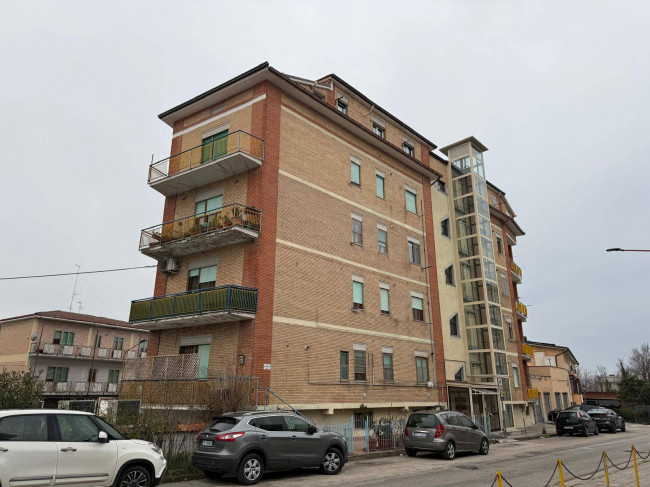 Appartamento in affitto a Campobasso