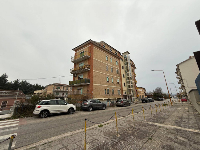 Appartamento in affitto a Campobasso