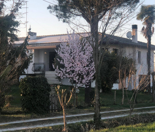 ABBINATA / BIFAMILIARE in Affitto a Mogliano Veneto