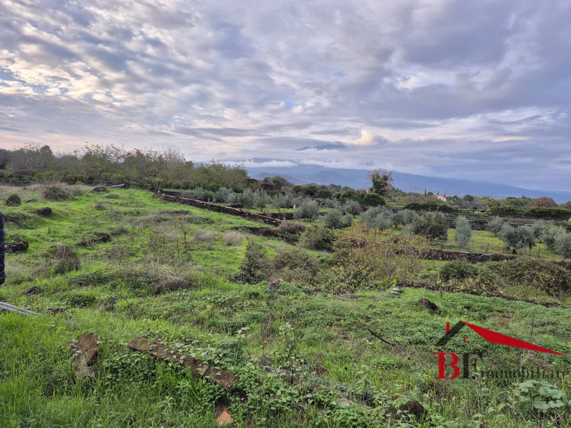 Terreno agricolo in vendita a Valverde (CT)