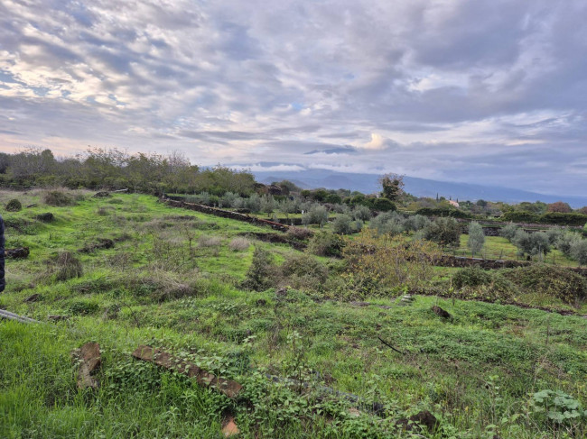 Terreno agricolo in vendita a Valverde (CT)