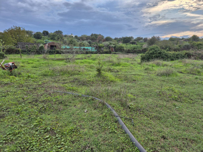 Terreno agricolo in vendita a Valverde (CT)