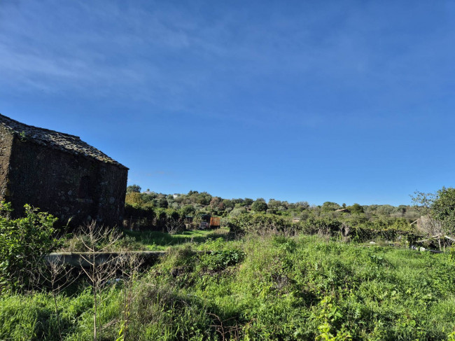 Terreno agricolo in vendita a Valverde (CT)