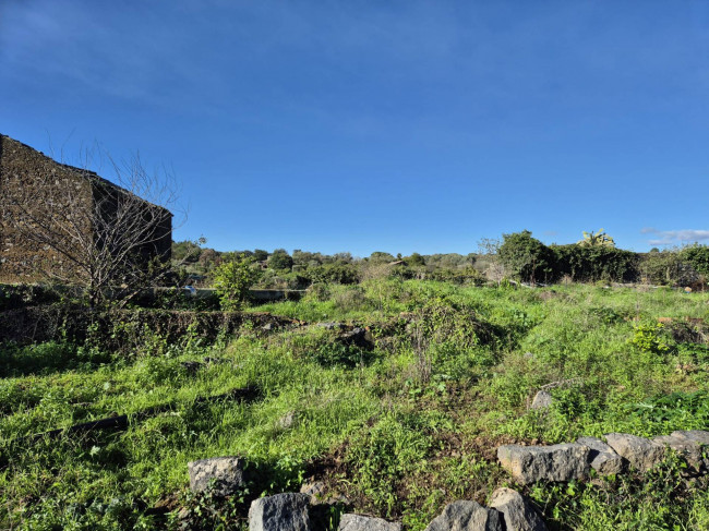 Terreno agricolo in vendita a Valverde (CT)