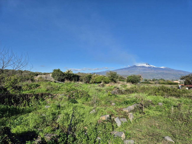 Terreno agricolo in vendita a Valverde (CT)