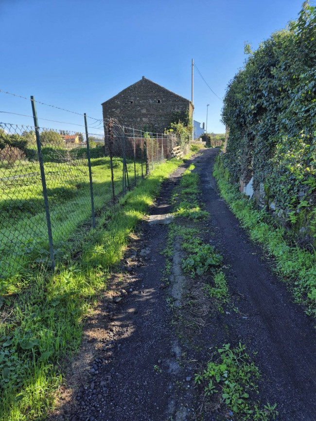 Terreno Agricolo in Vendita a Valverde