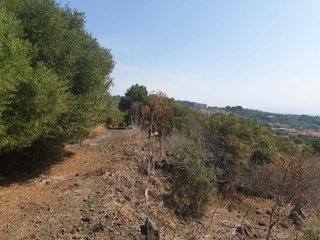 Terreno Agricolo in Vendita a Aci Castello
